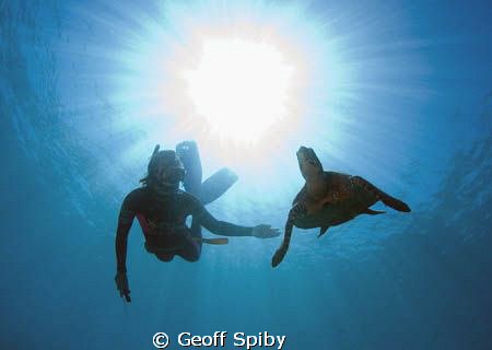 snorkelling in Madagascar by Geoff Spiby 