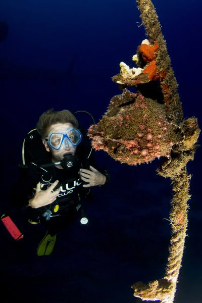Diver and frogfish on the Salem Express. by Dray Van Beeck 