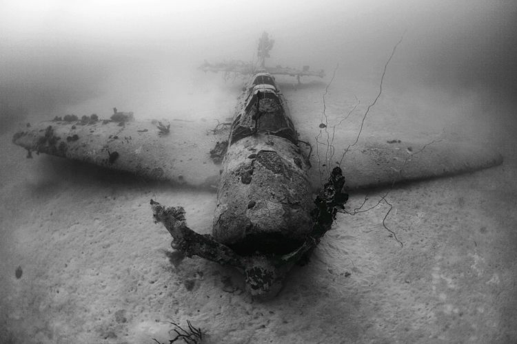 Wreck of a Jill Torpedo Bomber, Chuuk Lagoon (Truk), Micr... by Jim Garland 