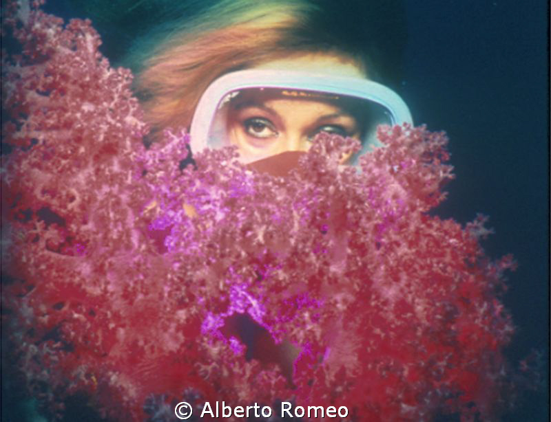 Red softcoral and a shediver by Alberto Romeo 
