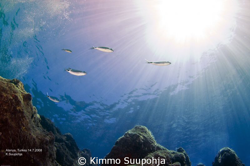 Underwater sunshine by Kimmo Suupohja 