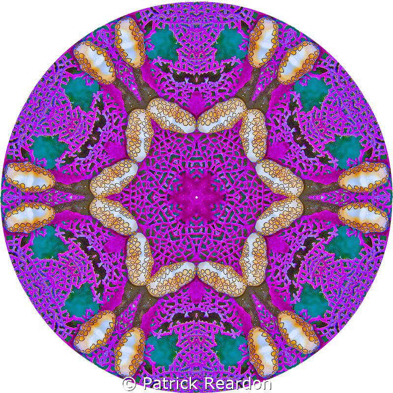 If the kaleidoscopic image is created with a big enough "... by Patrick Reardon 