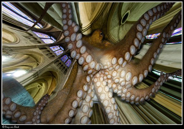 Giant octopus... by Dray Van Beeck 