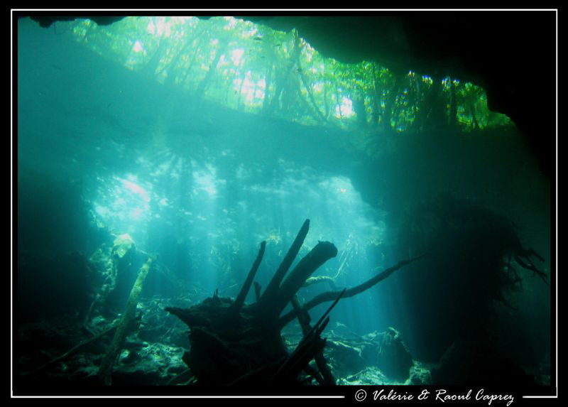 Picture taken with a Canon G9 in a Cenote (Yucatan). by Raoul Caprez 
