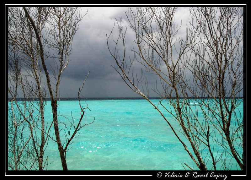 Four days like this during one week ! Under water was the... by Raoul Caprez 