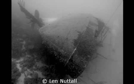 Hilma Hooker in Bonaire.  DX-G1 with natural light. by Len Nuttall 