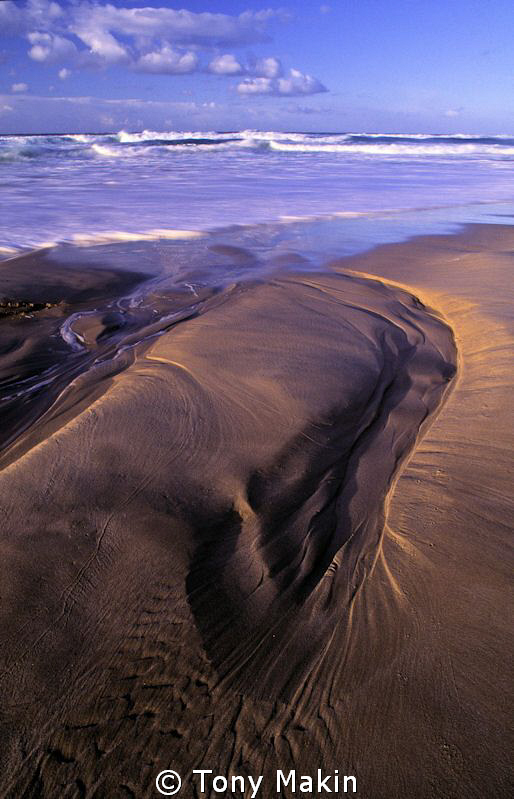 Patterns in the sand by Tony Makin 