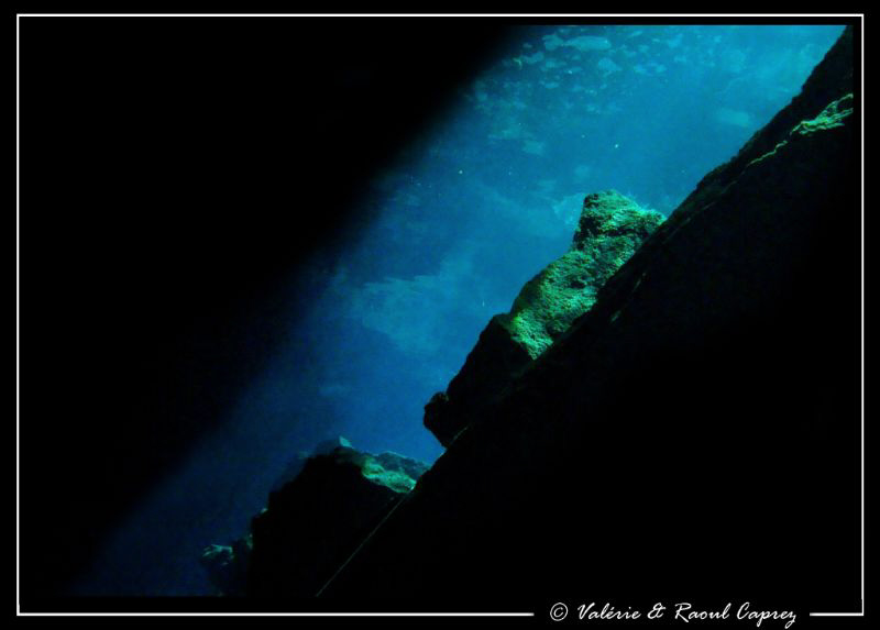 PADI logo - naturel new look.
Picture taken with a Canon... by Raoul Caprez 