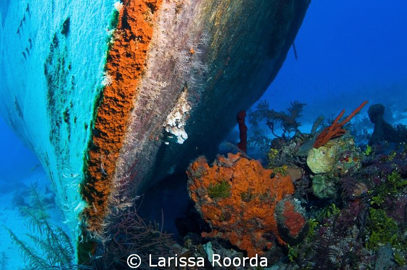 Parallel dimension.  Shot of the front of a wreck, with s... by Larissa Roorda 