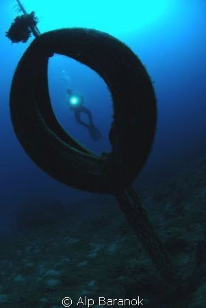 While my buddy and I were diving, we saw this tire used a... by Alp Baranok 