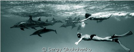 Dolfines Reef by Sergiy Glushchenko 