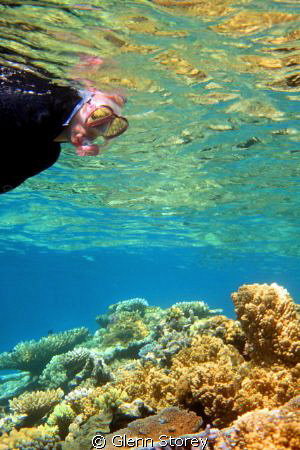 First time snorkling "my wife" on the Great Barrier Reef.... by Glenn Storey 