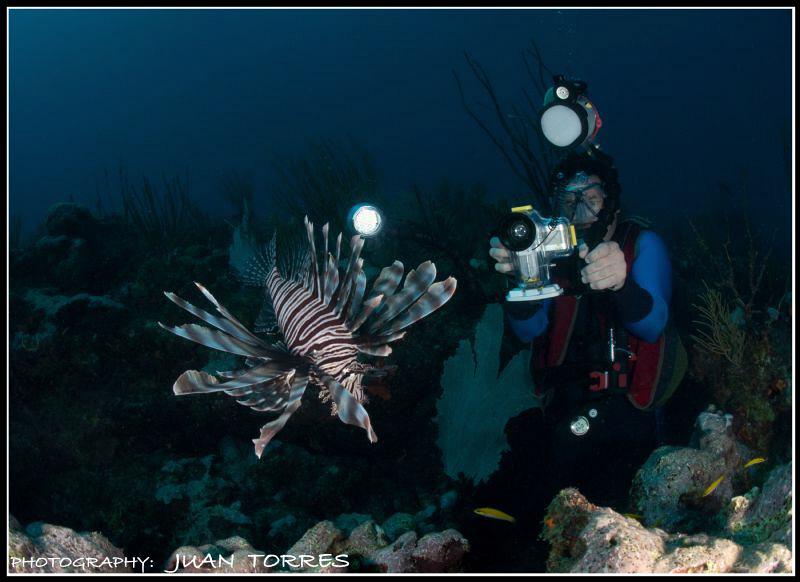 The Lion Invader, and a diver filming it. by Juan Torres 