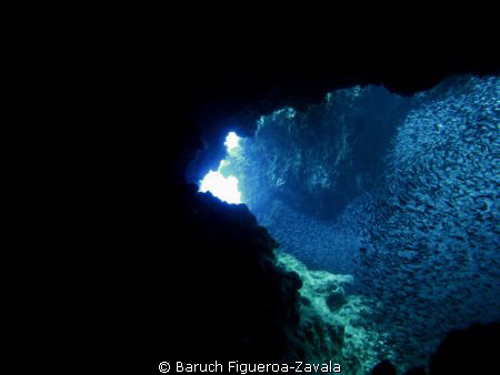 Found this cave filled with plenty of silversides in Banc... by Baruch Figueroa-Zavala 