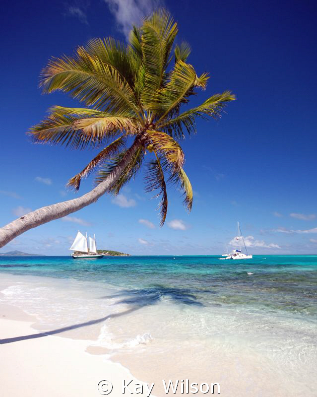 The view from Jamesby in the Tobago Cays, St. Vincent and... by Kay Wilson 