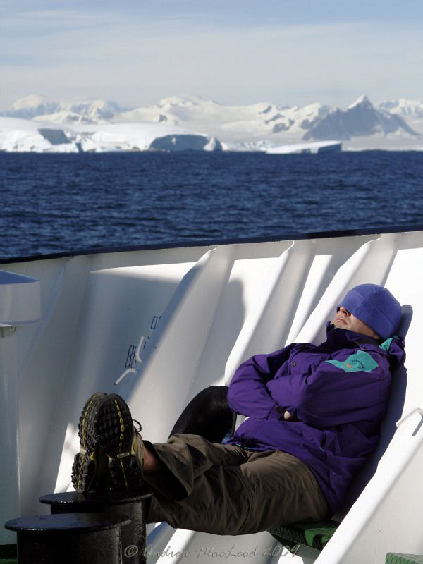 A snooze in the sun on a nice warm antarctic day... take ... by Andrew Macleod 