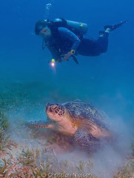 Big Green Turtle and my wife.
Olympus E330, 14-54mm, 2 I... by Christian Nielsen 