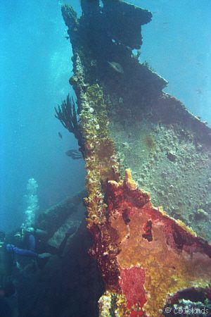 Wreck of the RMS Rhone, Salt Island, British Virgin Islan... by Pauline Jacobson 