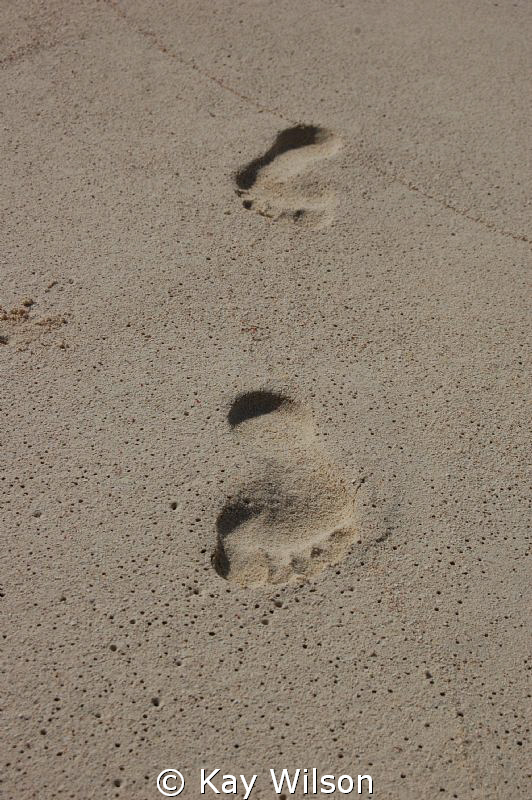 Footprints on the beach, Tobago Cays, St. Vincent and the... by Kay Wilson 