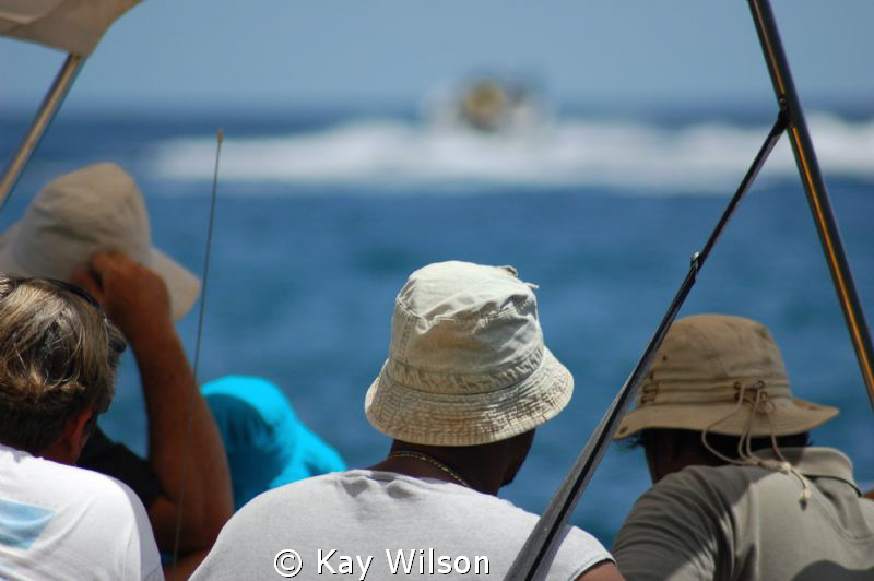Watching a boat race. Mount Wynne Beach, St. Vincent, St.... by Kay Wilson 