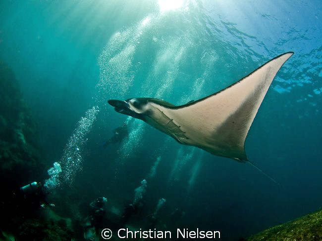 Happy divers and hopefully also the Manta Ray.
Photo sho... by Christian Nielsen 