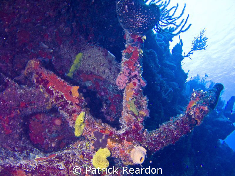 Anchor seen in Turks and Caicos while diving aboard the A... by Patrick Reardon 