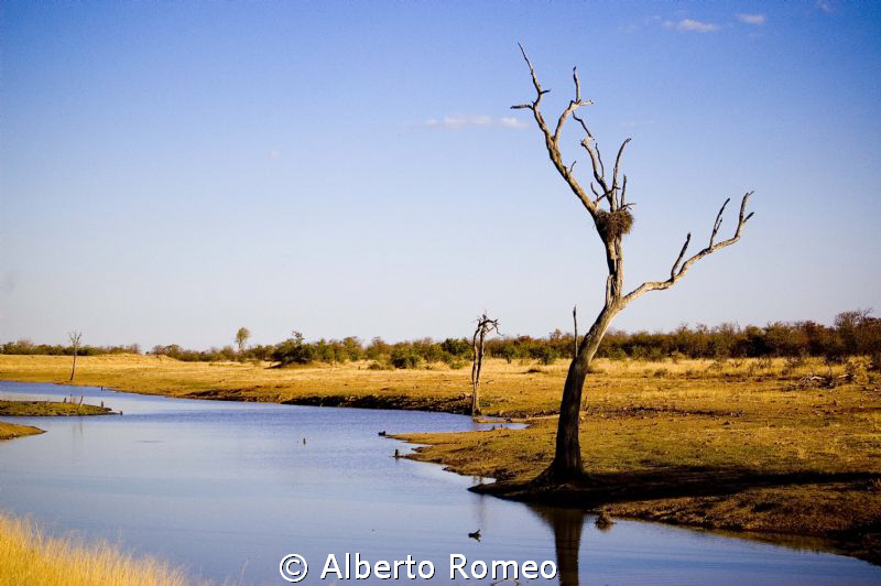 A beautiful  little lake in Kruger Parck by Alberto Romeo 
