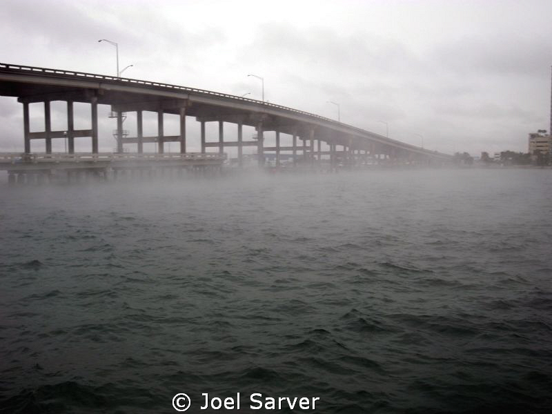 BLUE HERON BRIDGE 1/9/10.AIR TEMP 40 WATER 73 by Joel Sarver 