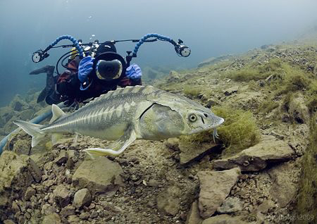 Derek & Diamond Sturgeon.
D200 10.5mm.
Winter 2009. by Mark Thomas 