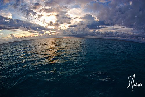 Sunset from the bow of the Shearwater during my shark exp... by Steven Anderson 