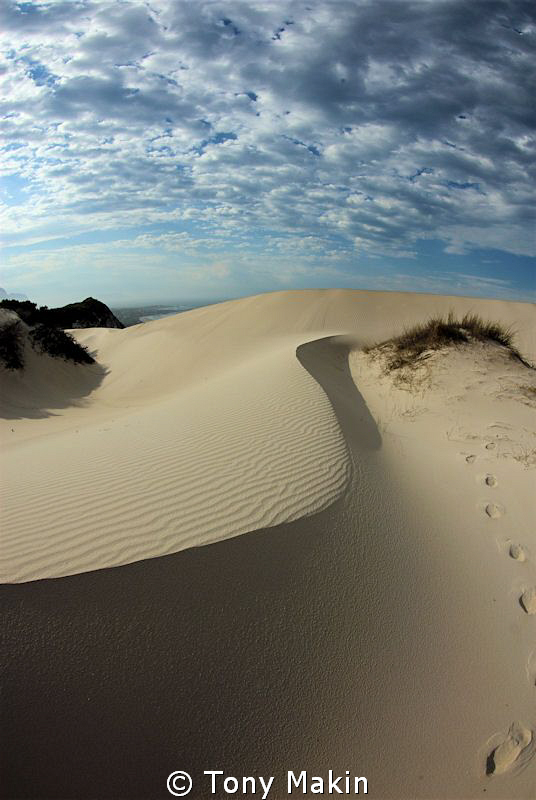 Dunes on Betties Bay beach by Tony Makin 