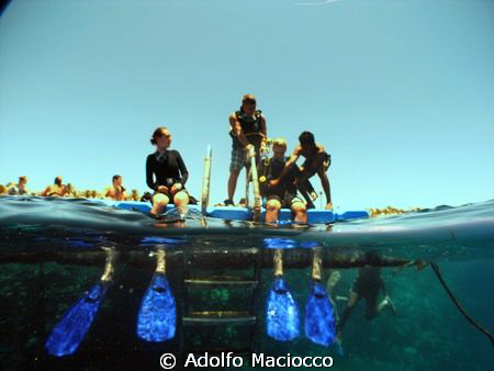Ready to Splash in.
Grand Sharm *Iberotel*
Sharm el Sheikh by Adolfo Maciocco 