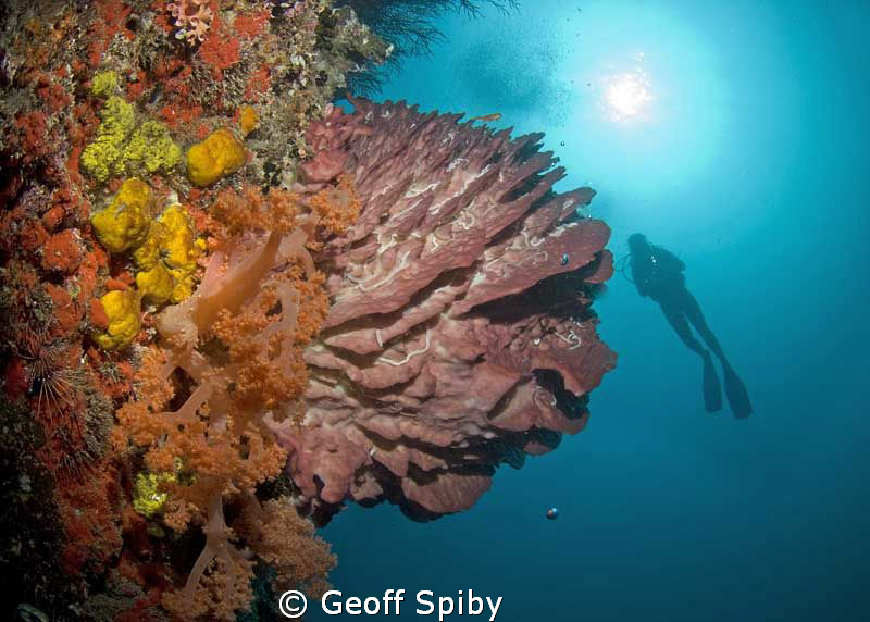 the wall at Pescador island by Geoff Spiby 