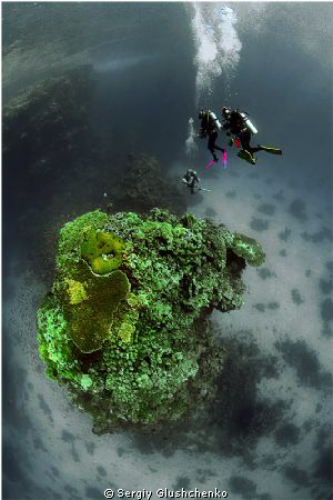 St. Johns Reef by Sergiy Glushchenko 