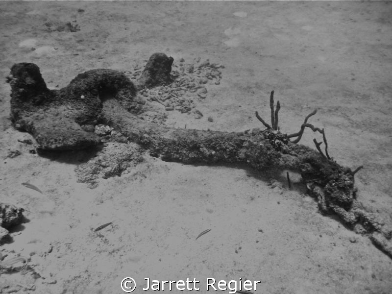 A detached anchor of the OV wreck. by Jarrett Regier 