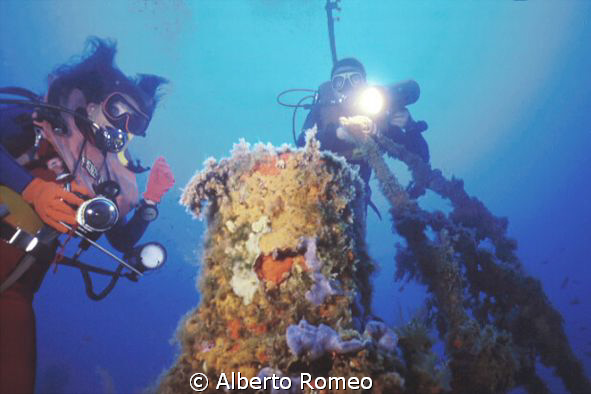 The funnel of " Capua" wreck. 
In 1980's I and my team d... by Alberto Romeo 