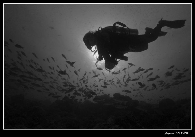 Buddy Ray during our last trip to the Maldives by Daniel Strub 