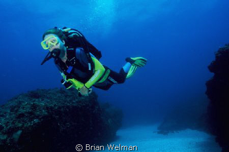 "Scuba Diver"
 by Brian Welman 