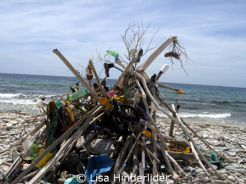South east end of Bonaire has alot of trash that collects... by Lisa Hinderlider 