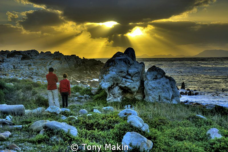 Looking out over False Bay by Tony Makin 