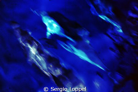 "At full speed" in navigazione nel Mar Tirreno al largo d... by Sergio Loppel 