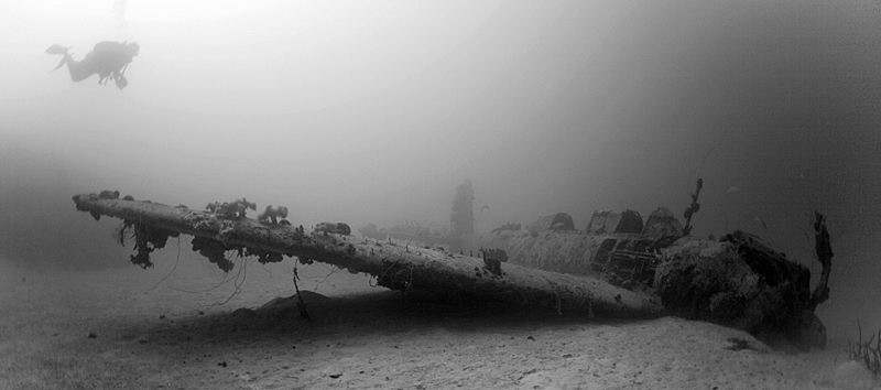Jill Torpedo bomber, Truk Lagoon, Chuuk, Micronesia. by Jim Garland 