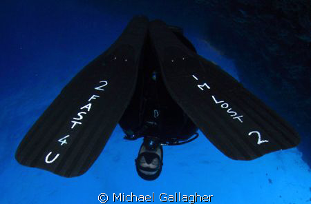 Would you follow this dive guide??? by Michael Gallagher 