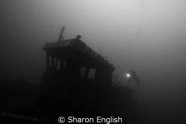 First attempts using a tripod underwater to allow longer ... by Sharon English 