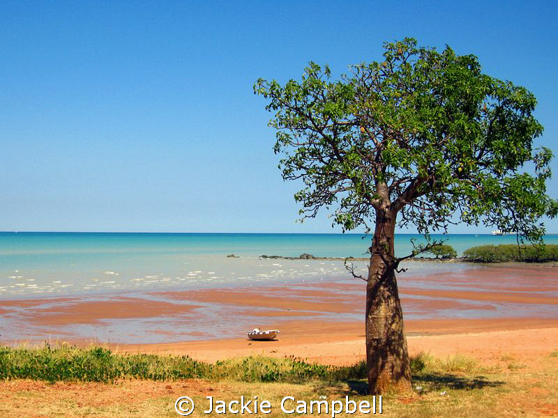 Town beach in Broome has this wonderful redy coloured san... by Jackie Campbell 
