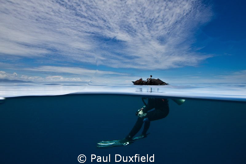 Shelly was looking for me as I had surfaced to one side o... by Paul Duxfield 
