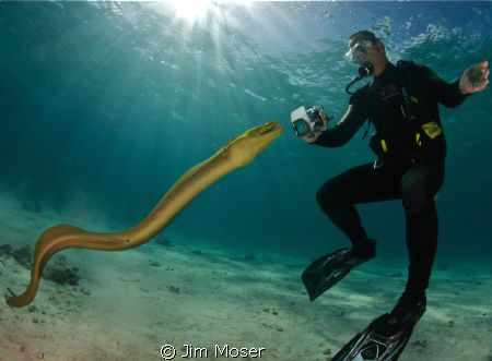 The divemasters call this moray eel, PSYCHO.  My dive bud... by Jim Moser 