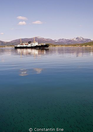 The Hurtigruten ship "M/S Nordstjernen". Picture was take... by Constantin Ene 