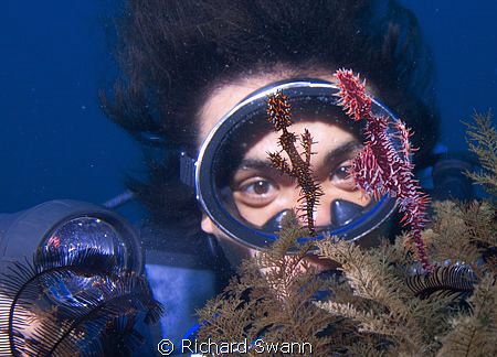 2 Ghostpipefish watched closely by my ugly mate/model Bob... by Richard Swann 
