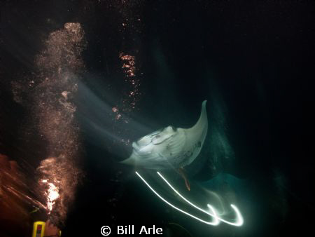 Must have been tracking the manta, when someone fired the... by Bill Arle 